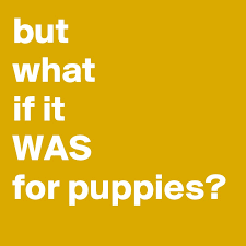 You'll also get a free puppy starter kit: But What If It Was For Puppies Post By Mistdog On Boldomatic