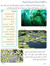 متكيفات نباتات البيئه المائيه المدرسة العراقية الالمانية ميسان تكيف الكائنات الحيه للعيش في البيئه المائيه علوم ثاني ابتدائي المنهج العراقي