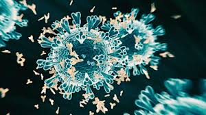 Jan 08, 2021 · how to become an infectious disease specialist doctors of infectious diseases need nine to ten years of training in order to practice, not including any undergraduate education. Unvaccinated People Are Variant Factories Infectious Diseases Expert Says Cnn