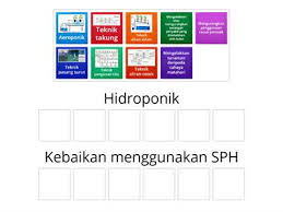 We did not find results for: Analisis Elemen Reka Bentuk Sistem Fertigasi Sumber Pengajaran