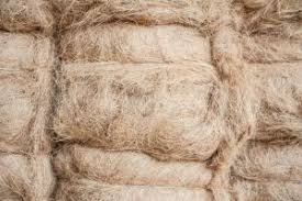 Bei nicht abnehmbaren bezügen oder bei. Matratze Riecht Muffig Geruch In 5 Schritten Entfernen