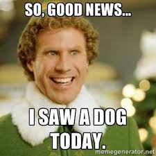 Dec 04, 2016 · many years ago, shortly after my friend janet passed away, i had a vivid and intense dream about her. So Good News I Saw A Dog Today Great Elf Quote Christmas Memes Funny Buddy The Elf Christmas Humor