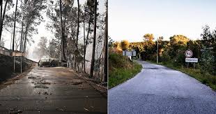 Check spelling or type a new query. Pedrogao Tres Anos Depois Dos Incendios