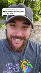 Reply to @heatherjohnson66 how to repel slugs and  snails‼️‼️‼️‼️🤯🤯🤯🤯🤯🤯‼️‼️‼️🧂🧂🧂🧂🧂#buglife‼️‼️‼️‼️‼️‼️‼️‼️‼️‼️‼️‼️#DontSpillChallenge