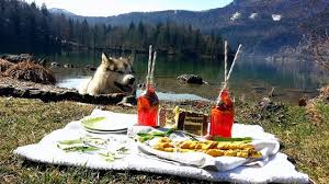 Reginas Wilde Weiber Kuche Barlauch Chili Knusper Stangerl Und Fruhlingshafte Barlauch Lauch Krauterwanderung