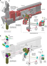 With fixed power scopes, the location is not critical. Eyecup Scope Optical Recordings Of Light Stimulus Evoked Fluorescence Signals In The Retina Springerlink