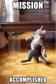 Create your own images with the bush mission accomplished meme generator. Mission Accomplished Walking Cat Meme Generator