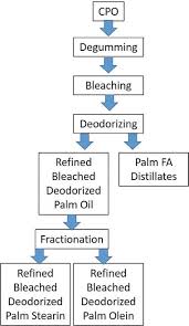 Manufacturers must plant a supply of oil palms, and oversee their care through maturity. Introductory Chapter Multifaceted Perspectives Of Palm Oil Intechopen