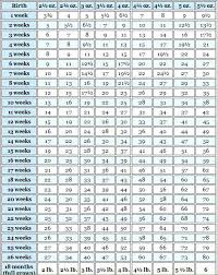 Chihuahua Growth Chart Puppy Growth Chart Bear Puppy Pets