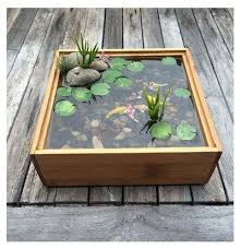 Model Kolam Ikan Mini Indoor Water Garden Ponds Backyard Container Water Gardens