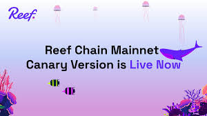 Reef finance and ramp are coins that davis believes will hit 100x gains in the altcoin bull run. Reef Finance The Gateway To Defi Reefdefi Twitter