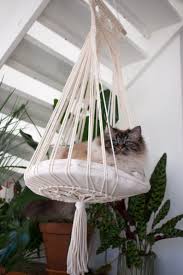 Makrame Kedi Hamagi Diger 543194 Zet Com Makrame Hamaklar Kedi