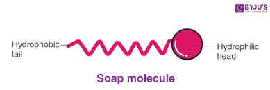 Why Would You Not Expect Water To Move Easily Through A Membrane Ho.Pdf