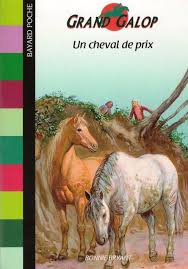 Pin On Booksetcie 9 12 Ans