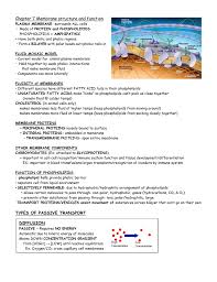 Check spelling or type a new query. Chapter 7 Membrane Structure And Function