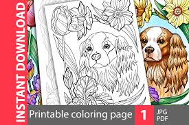 Printable puppy coloring pages pdf. Instant Download Spaniel Colouring Sheet Coloring Book For Adults Printable Pet Coloring Page Digital Art Collectibles Delage Com Br