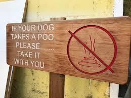 How to keep your dog from pooping on the carpet. How To Keep Dogs From Pooping On Your Lawn