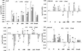 They are available in digital and handmade varieties. Osteogenic Differentiation Potential And Marker Gene Expression Of Different Porcine Bone Marrow Mesenchymal Stem Cell Subpopulations Selected In Different Basal Media Biorxiv