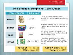 She could not afford safety fencing. Budgeting For New Pet Gr 2 Financial Literacy Ppt Download