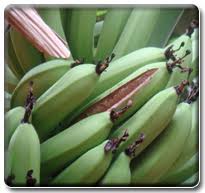 Banana Expert System