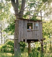 Post what you have | blinds. 170 Best Deer Hunting Shooting House Ideas Shooting House Deer Hunting Hunting