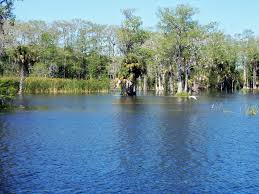 The path circles the lake on top of the. 370 Flights To Okeechobee Florida Tripadvisor