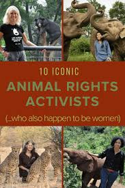 15 Female Wildlife Conservationists Animal Rights Activists Animal Rights Activist Animal Rights Wildlife