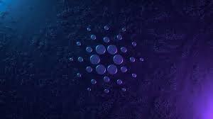 Can cardano ada reach 1000 dollars, and possibly make you rich in this crypto bull run? Can Cardano Reach 1000 Reddit