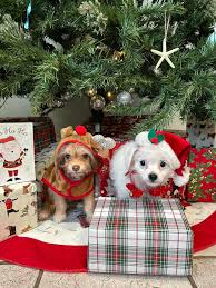 Sugar and Cinnamon...