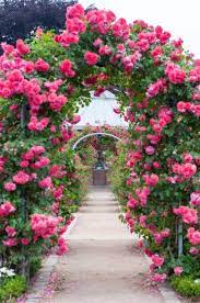 See more ideas about hd flowers, flowers, wallpaper. Rose Arch In The Park Planten Un Blomen Hamburg Germany Most Beautiful Gardens Beautiful Gardens Beautiful Flowers Garden