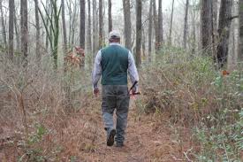 Fighting For The Forest Sam Houston National Forest In Need Of Funding Community Impact