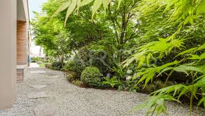 Trittplatten In Kies Asiatischer Garten In 2020 Gartengestaltung Dachgarten Asiatischer Garten