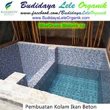Foto Desain Kolam Ikan Keramik Beton Budidaya Lele Organik Facebook