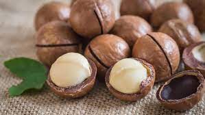 macadamia wie gesund ist die nuss macadamia essen und trinken nahrwert