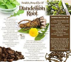 Pin On Health Tips