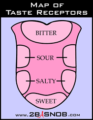 diagram of tongue taste wiring diagram