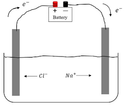 Which structures in the diagram below enable the. Quiz Worksheet Electrolytic Cells Vs Galvanic Cells Study Com