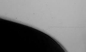 Room for three extra cars to be exact, meaning i have more asphalt than grass or garden. Diy Asphalt Removal On Car Body Metroace