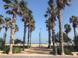Not into lazing on the sand? Valencia S Beaches Where To Go And What To Do Erasmus Tips