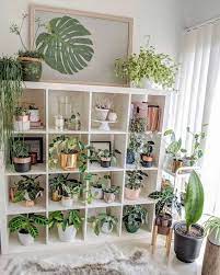 This decor is the proper homage to nature. 24 Plant Stand Design Ideas For Indoor Houseplants Best Dream Home Design Dream Home Houseplant Plant Decor Indoor House Plants Decor House Plants Indoor