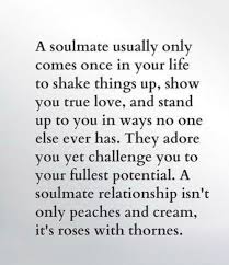 See more ideas about penguin love, penguins, penguin love quotes. Pin By Sierra Hurst On Words Soulmate Quotes Valentines Day Love Quotes Love Quotes For Her
