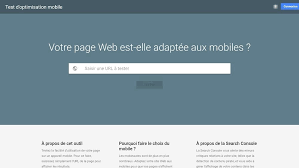 Cela dit, je me doute bien que si tu es sur cette page, ce n'est pas pour ta passion de testeur web. 8 Outils Gratuits De Google Pour Tester Les Performances De Votre Site Web