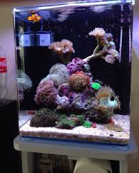 Nano Reef Akvaryum Tuzlu Su Akvaryumlari