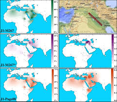 Check spelling or type a new query. In Search Of The Genetic Footprints Of Sumerians A Survey Of Y Chromosome And Mtdna Variation In The Marsh Arabs Of Iraq Bmc Ecology And Evolution Full Text