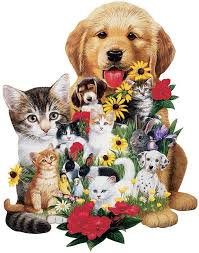 Chewy.com has been visited by 100k+ users in the past month Bits And Pieces 750 Piece Shaped Jigsaw Puzzle Best Friends Dogs I Love Puzzles