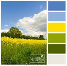 Frisch Grun Nachhaltig Farbpalette Blau Grune Farbpalette Grun