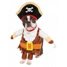Details About Walking Pirate Costume Pet Halloween Fancy Dress