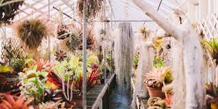 Bay area flowers to plant. 6 Downright Wild Flower And Plant Shops In The Bay Area 7x7 Bay Area