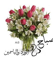 صباح الورد والياسمين مع أجمل فنجان قهوة ☕. Ø¬ÙˆÙ„Ø§Ù† On Twitter ØµØ¨Ø§Ø­ Ø§Ù„ÙˆØ±Ø¯ ØµØ¨Ø§Ø­ Ø§Ù„ÙŠØ§Ø³Ù…ÙŠÙ† ØµØ¨Ø§Ø­ Ø§Ù„ÙÙ„ Ø§Ø®ÙŠ Ø§Ù„ÙƒØ±ÙŠÙ… Ø±Ø¨ÙŠ ÙŠØ³Ø¹Ø¯ ØµØ¨Ø§Ø­ÙƒÙ… Ø¨ÙƒÙ„ Ø®ÙŠØ± ÙˆÙ…Ø­Ø¨Ù‡ ÙˆØ³Ø¹Ø§Ø¯Ù‡ ÙŠØ§Ø±Ø¨