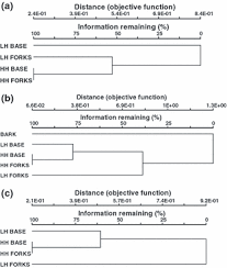 Image result for Eggelingia ligulifolia